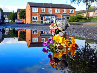 reflets