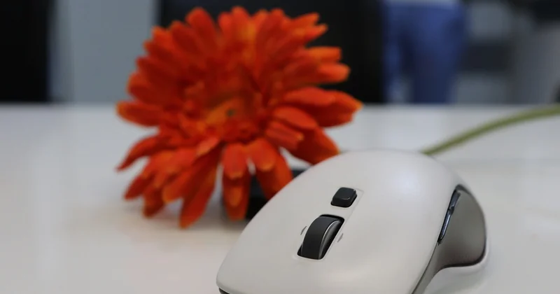 Ergonomics: A 10-Minute Calibration, Not a 10-Point Shopping Spree