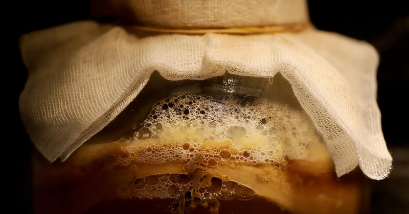 Easy Beginner Fermentation Recipes for Gut Health